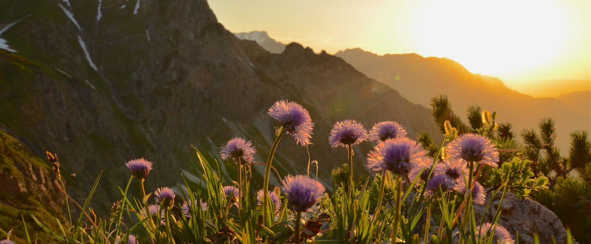 Wandern im Allgäu – Gipfelmomente direkt vor der Haustür Panoramablick auf die Allgäuer Alpen nahe der Ferienwohnung Martin